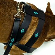 Sambboho Saint Barth Dog Harness
