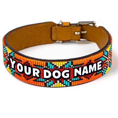 5 Custom Dog Collar Ideas That Will Make Your Pup Stand Out