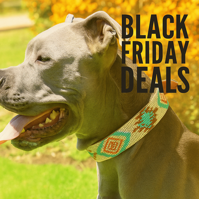 Black Friday Dog Collar Deals 2025