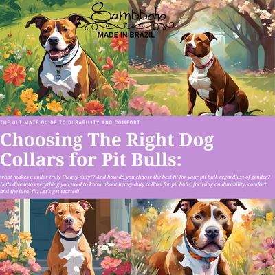 Choosing The Right Dog Collars for Pit Bulls: The Ultimate Guide to Durability and Comfort
