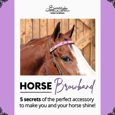 All you need to know about choosing the right horse browband!
