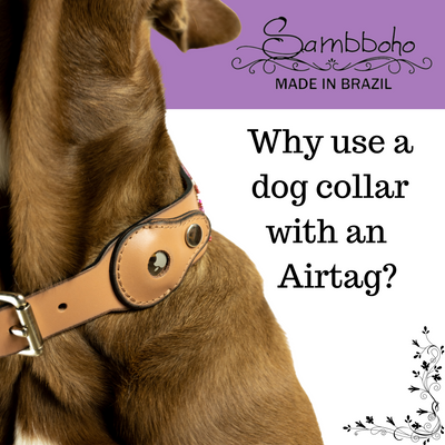 Why use a dog collar with an AirTag?