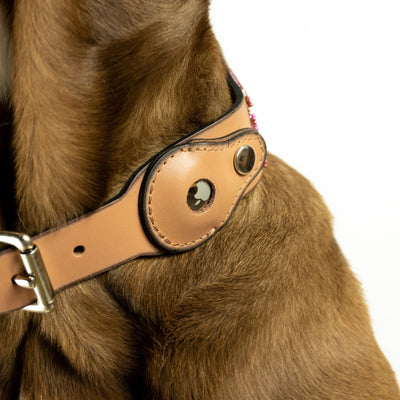 Why AirTag-Compatible Leather Dog Collars Are the Must-Have for 2026