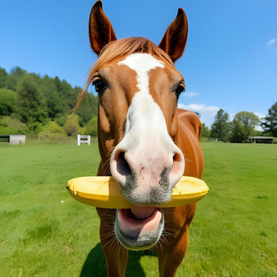 Can Horses Eat Bananas? A Guide to Equine Nutrition and Natural Treats