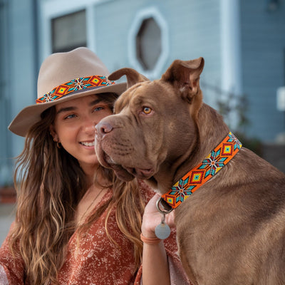 XXL Dog Collar Guide: How to Choose the Right Extra Large Size at Sambboho