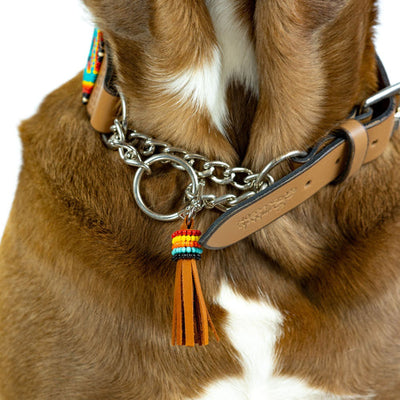 A Comprehensive Guide to Martingale Collars: Types, Benefits, and Choosing the Best Fit for Your Dog