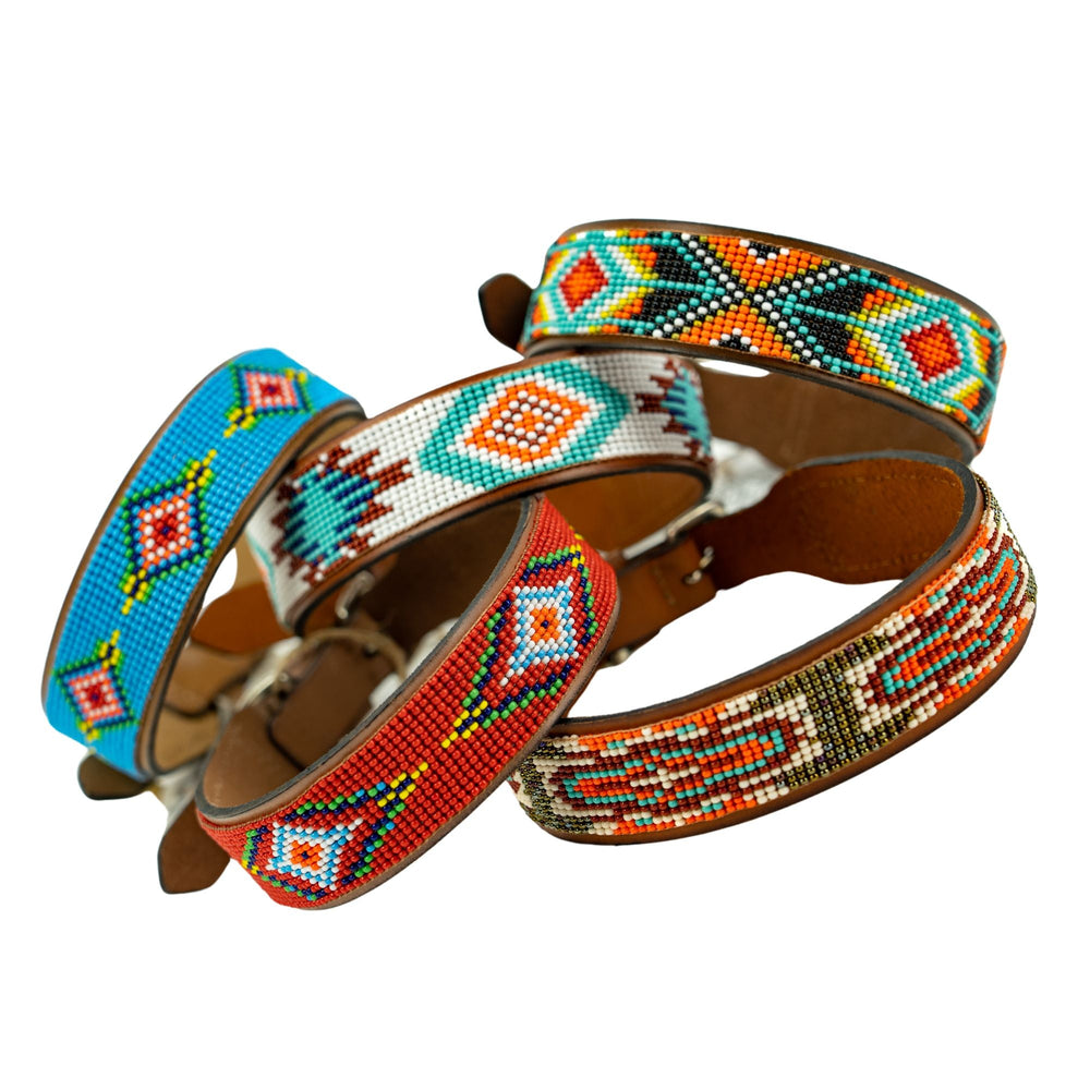 Collored Collars Understanding Dog Collar Colors: What Each Color Means for Your Pet ...