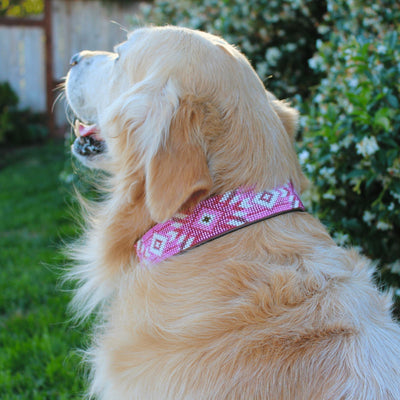 Pink Dog Collars: A Trendy Accessory with Meaning