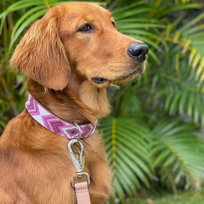 Why Horse and Dog Lovers Are Obsessed with Beaded Accessories