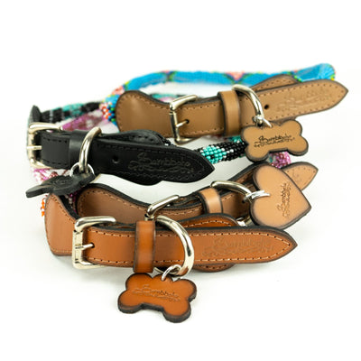 What’s the Best Collar Style for Your Dog’s Breed?