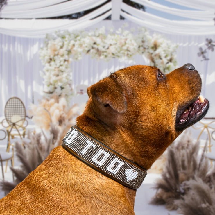 I Do Too Sambboho dog collar (wedding collection)