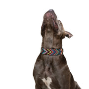 Bixie Sambboho dog collar (new)