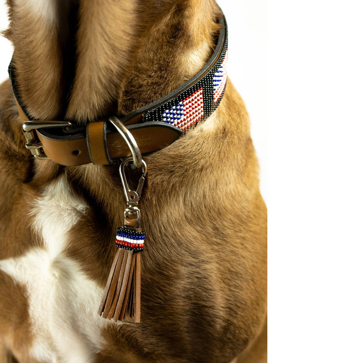 USA Dog Collar and Tassel Bundle