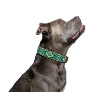 Lucky Sambboho dog collar (new)