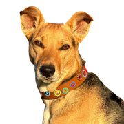 Miami Sambboho dog collar (made to order)