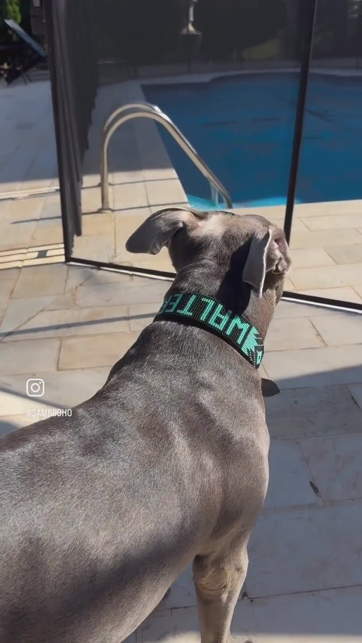 Personalized beaded name and design Sambboho dog collar