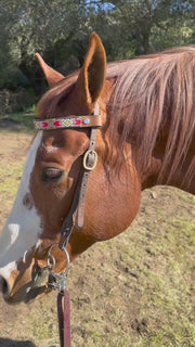 Valencia Sambboho Horse Browband