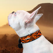 Tiger Sambboho dog collar by Gabriel Feitosa