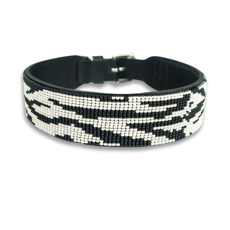 Zebra Sambboho dog collar by Gabriel Feitosa