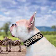 Zebra Sambboho dog collar by Gabriel Feitosa