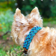 Blue Braided Sambboho dog collar