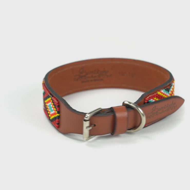Tropicalia Sambboho dog collar (made to order)