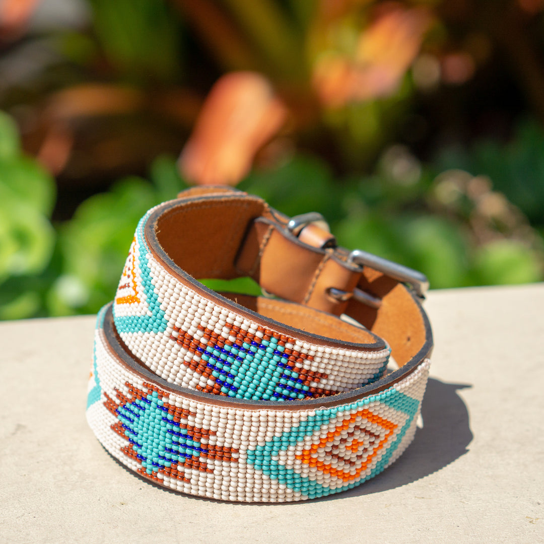 Sambboho Dog collars With A Regular buckle