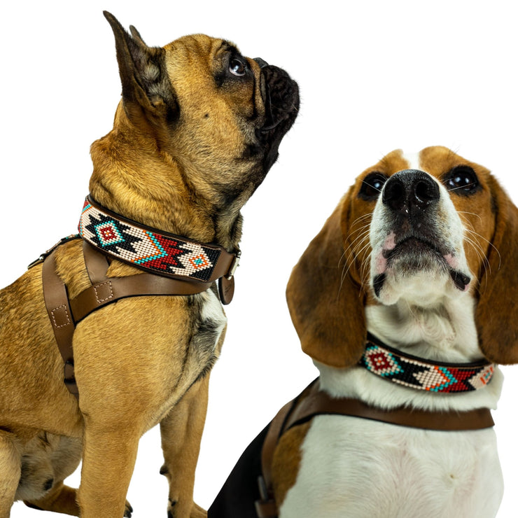 Matching choker/dog collar Phoenix Bundle