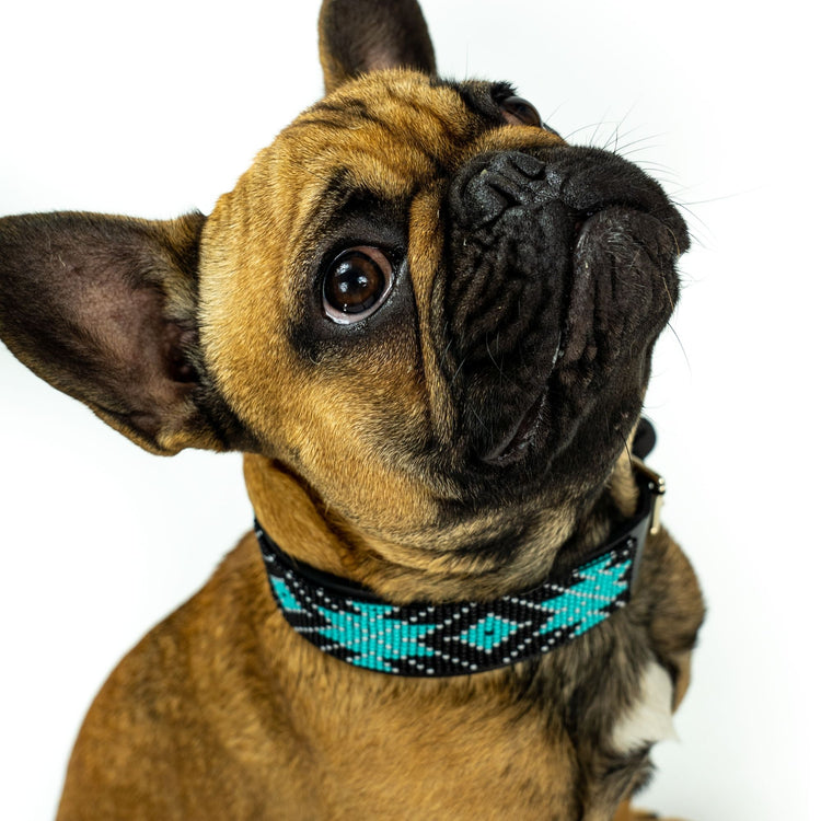 Matching choker/dog collar Saint Barth Bundle – Sambboho