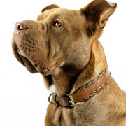 Milano Sambboho dog collar (made to order)