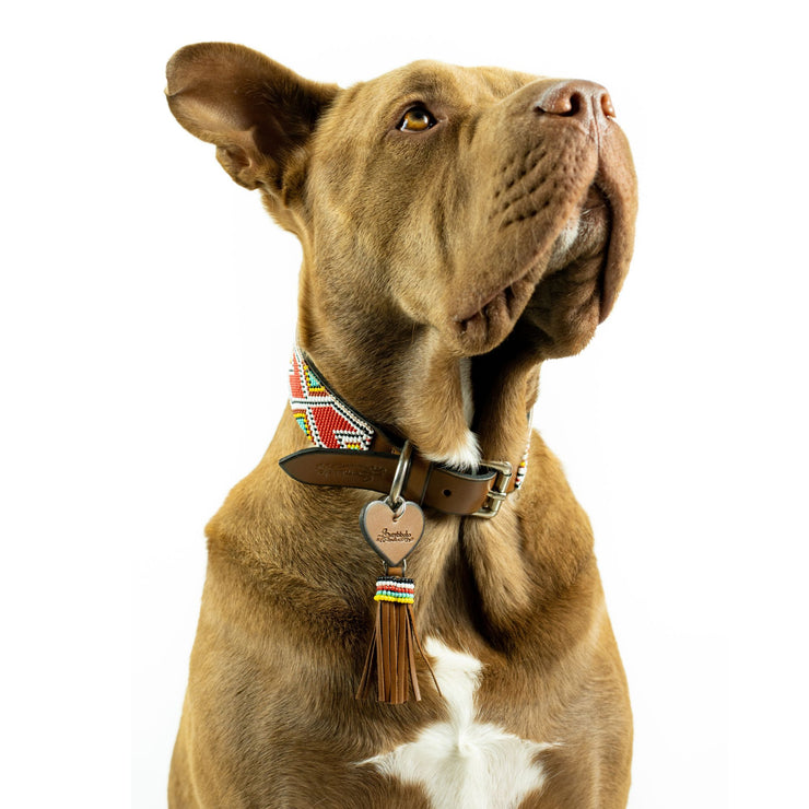 Valencia Dog Collar and Tassel Bundle