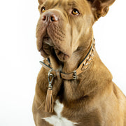 Dallas Dog Collar and Tassel Bundle