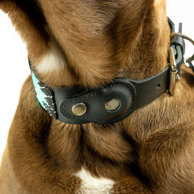 Saint Barth Sambboho dog collar (with AirTag holder)