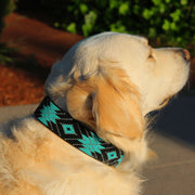 Saint Barth Sambboho dog collar (with AirTag holder)
