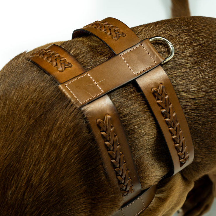 Sambboho Rome Dog Harness