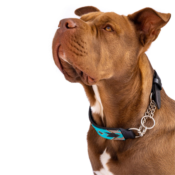 London Sambboho Martingale dog collar (Training)