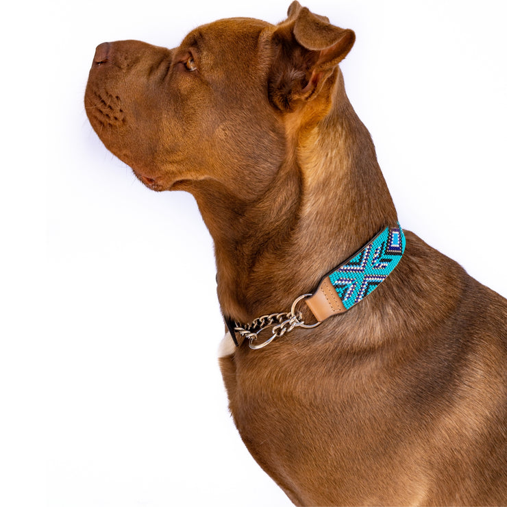 Saint-Tropez Sambboho Martingale dog collar (Training)