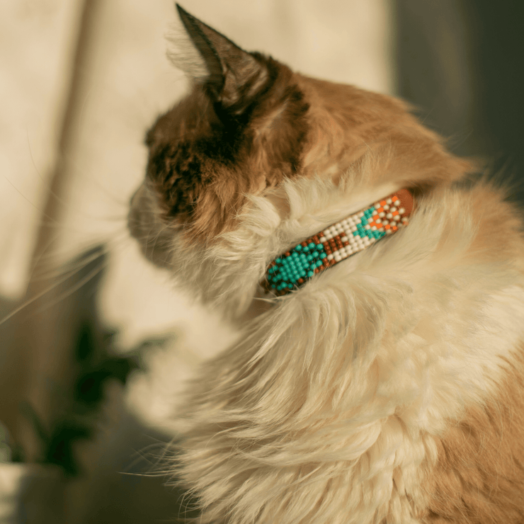 Aztec Sambboho cat collar