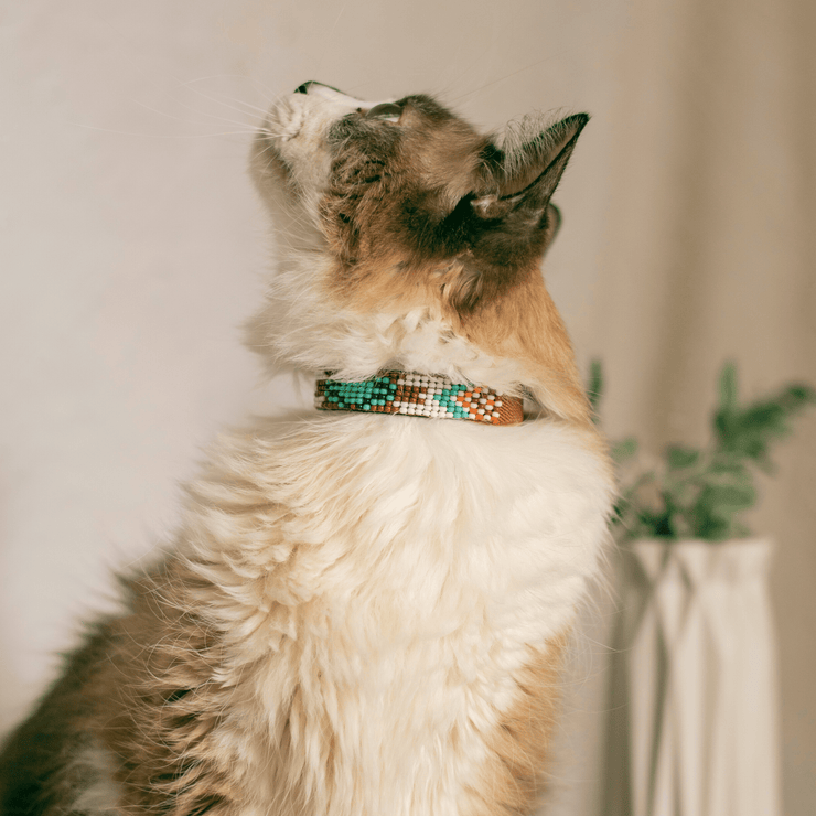 Aztec cat collar hotsell