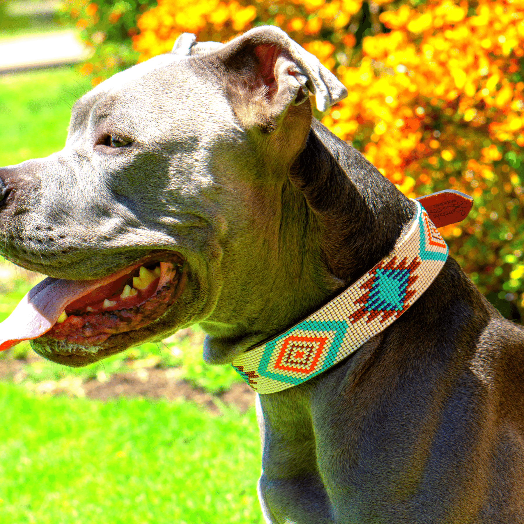 Aztec collar best sale