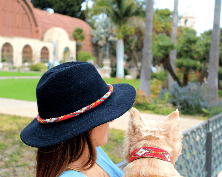 Red Vogue dog collar/hatband bundle