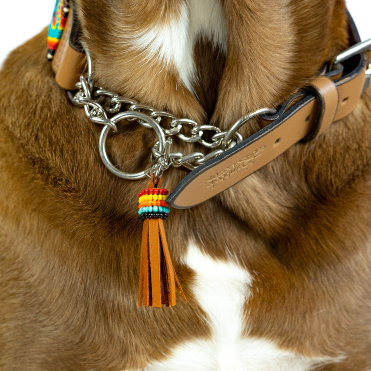 Bahamas Dog Collar (Martingale) and Tassel Bundle