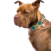 Bahamas dog collar (quick release)