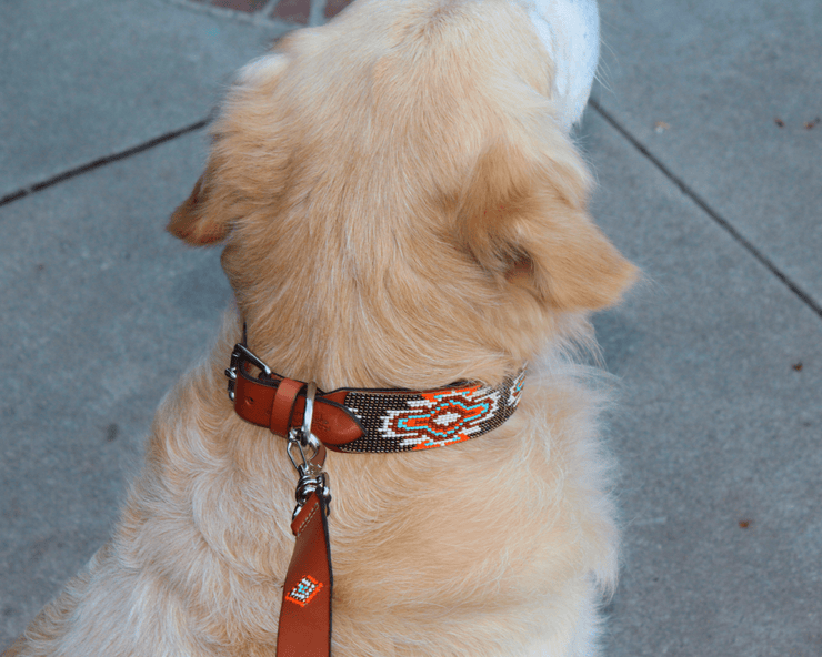 Matching leash/dog collar Boho Chic Sambboho Bundle