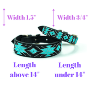 Matching leash/dog collar Saint Barth Sambboho Bundle