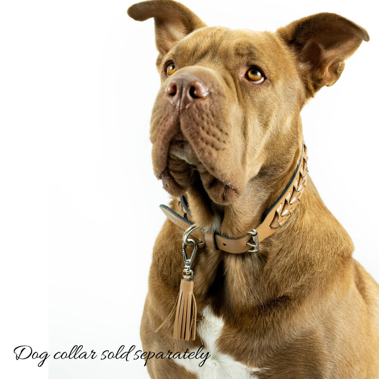 Dallas Dog Collar Tassel