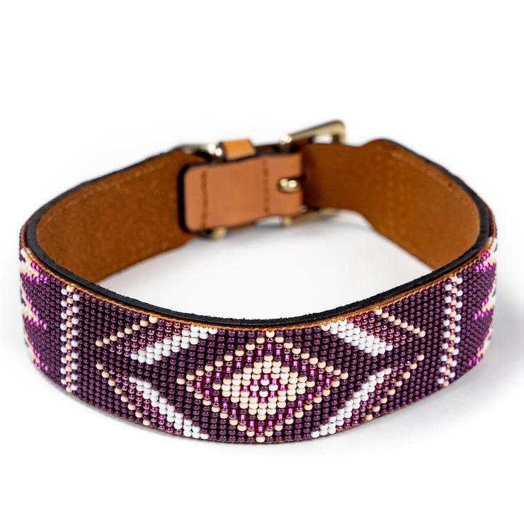 Matching leash/dog collar Charlotte Sambboho Bundle