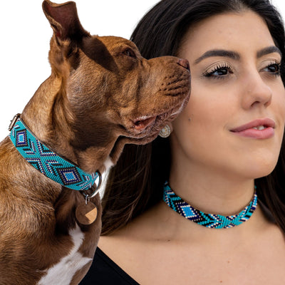DIY Flower Dog Collar for a Wedding - Stars for Streetlights