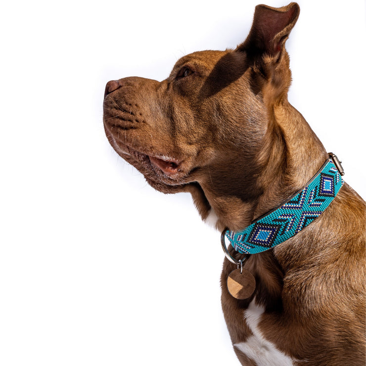 Saint Tropez Sambboho dog collar (with center D-ring)