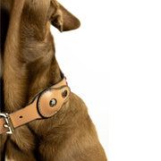 Melrose Sambboho dog collar (with AirTag holder)